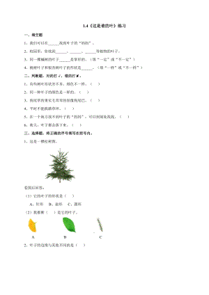 教科版一年級上冊科學1.4《這是誰的葉》同步練習題附答案.doc