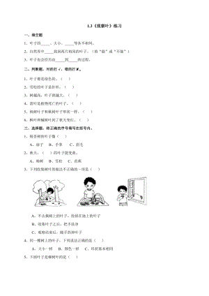 教科版一年級上冊科學1.3《觀察葉》同步練習題附答案.doc