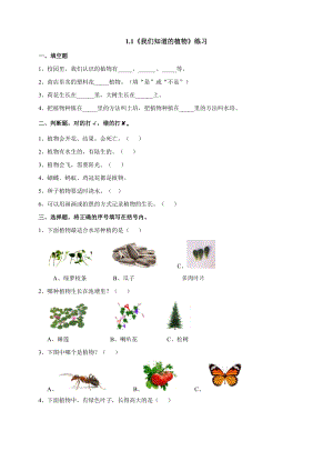 教科版一年級上冊科學1.1《我們知道的植物》同步練習題附答案.doc