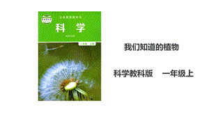 教科版一年級上冊科學1.1《我們知道的植物》課件（PPT）+教案+練習題.ppt