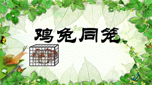 北京課改版五年級上冊數學6.2《雞兔同籠問題》公開課課件（廣東王老師部級優課）.pptx