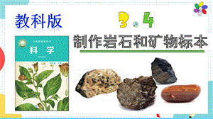 教科版四年級下冊科學3.4《制作巖石和礦物標本》課件.pptx
