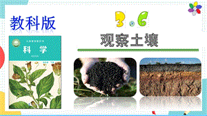 教科版四年級下冊科學3.6觀察土壤課件.pptx