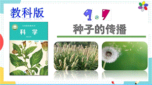 教科版四年級(jí)下冊(cè)科學(xué)1.7種子的傳播課件.pptx
