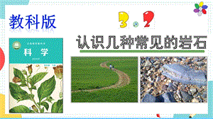 教科版四年級下冊科學3.2《認識幾種常見的巖石》課件.pptx