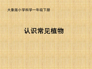 大象版一年級下冊科學2.1認識常見植物公開課課件（安徽陳老師市級優課）.ppt