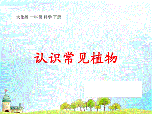 大象版一年級下冊科學2.1認識常見植物公開課課件（河南顧老師）.ppt