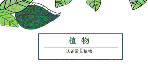大象版一年級下冊科學2.1認識常見植物公開課課件（河南邵老師）.ppt