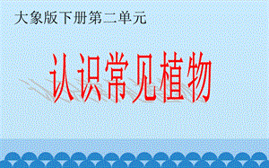 大象版一年級下冊科學2.1認識常見植物公開課課件（河南王老師B）.ppt