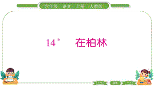 部編版六年級上冊語文14在柏林預習導學課件.pptx