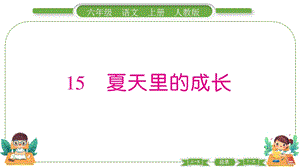 部編版六年級上冊語文15夏天里的成長預習導學課件.pptx