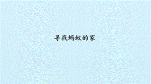 冀人版二年級下冊科學課件-7尋找螞蟻的家-(共19張PPT).pptx