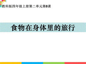新教科版四年級上冊科學2.8食物在身體里的旅行課件.ppt