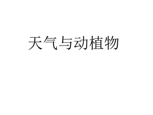 冀教版一年級下冊科學10《天氣與動植物》公開課課件（河北劉老師）.ppt