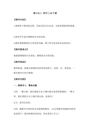 新版教科版四年級下冊科學1.3種子長出了根教案（含教學反思）.docx