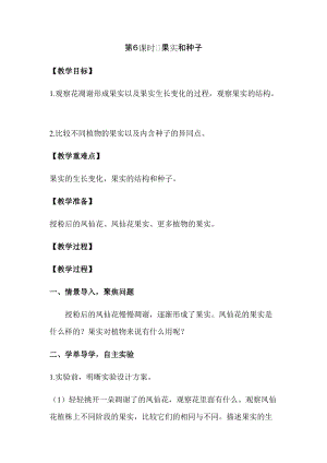 新版教科版四年級下冊科學(xué)1.6 果實(shí)和種子教案（含教學(xué)反思）.docx