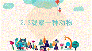 教科版一年級下冊科學2.3《觀察一種動物》公開課課件（浙江施老師部級優課）.pptx