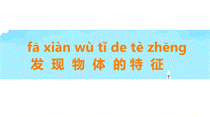 教科版一年級(jí)下冊(cè)科學(xué)1《發(fā)現(xiàn)物體的特征》公開(kāi)課課件（廣西龐老師部級(jí)優(yōu)課）.pptx