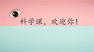 教科版二年級下冊科學2.2《通過感官來發現》公開課課件（浙江賀老師部級優課）.pptx