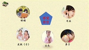 教科版二年級(jí)下冊(cè)科學(xué)2.4《測(cè)試反應(yīng)快慢》公開課課件（寧夏劉老師部級(jí)優(yōu)課）.pptx