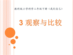 教科版二年級下冊科學2.3《觀察與比較》公開課課件（浙江朱老師部級優課）.pptx