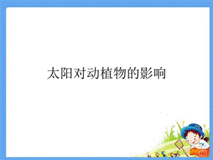 大象版一年級下冊科學(xué)3.2《太陽對動植物的影響》公開課課件（河南張老師）.ppt