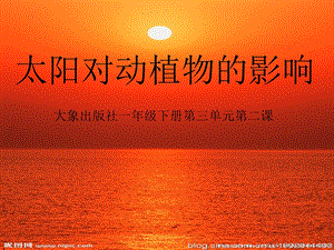 大象版一年級下冊科學3.2《太陽對動植物的影響》公開課課件（河南姚老師）.ppt
