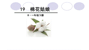 部編版一年級下冊語文19《棉花姑娘》公開課課件（新疆李老師省級優課）.ppt