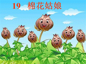 部編版一年級下冊語文19《棉花姑娘》公開課課件（廣西陸老師省級優課）.ppt
