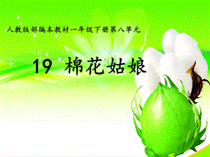 部編版一年級下冊語文19《棉花姑娘》公開課課件（湖南謝老師省級優課）.ppt