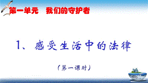 部編版六年級上冊道德與法制第1課感受生活中的法律課件.ppt