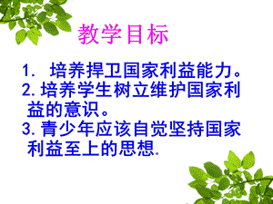 部編版八年級上冊道德與法制8.2《堅持國家利益至上》教學課件.ppt