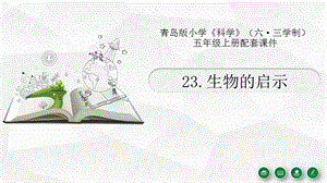 青島版（六三制）五年級上冊科學23.《生物的啟示》教學課件.pptx