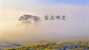 部編版二年級上冊語文19霧在哪里課件-江蘇部級優(yōu)課.pptx