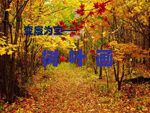 湘美版八年級下冊美術第6課變廢為寶課件（沈老師公開課）.pptx