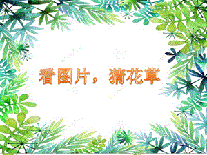 部編版一年級下冊道德與法制6《花兒草兒真美麗》課件（王老師公開課）.pptx