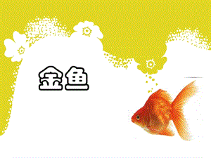 人教鄂教版一年級上冊科學4. 金魚-課件.ppt