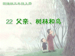 部編版三年級上冊語文22《父親、樹林和鳥》課件-江蘇市級優課.pptx
