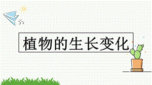教科版四年級下冊科學課件1.3種子長出了根(共16張PPT).pptx
