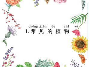 湘科版一年級(jí)下冊(cè)科學(xué)4.1《常見(jiàn)的植物》公開(kāi)課課件（北京縣級(jí)優(yōu)課）.pptx