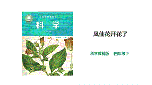 2021新教科版四年級(jí)下冊(cè)科學(xué)1.5《鳳仙花開(kāi)花了》課件（28張PPT）.ppt