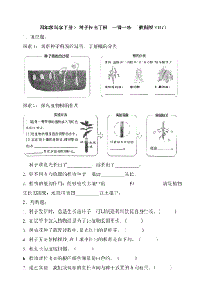 新）教科版四年級下冊科學3.種子長出了根課時練習題（含答案）.doc