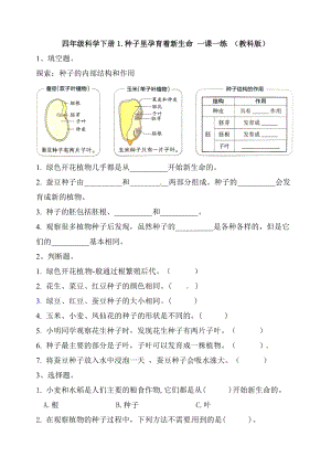 （新）教科版四年級下冊科學1.種子里孕育著新生命 課時練習題（含答案）.doc