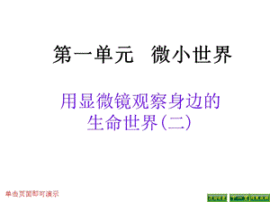教科版六年級下冊科學課件1-6用顯微鏡觀察身邊的生命世界二.pptx