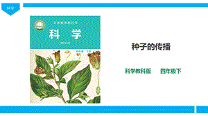 2021新教科版四年級(jí)下冊(cè)科學(xué)1.7種子的傳播課件(32張PPT）.ppt