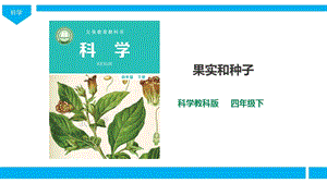 教科版四年級下冊科學1.6《果實和種子》課件（27張PPT）.pptx