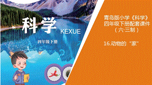 新版青島版（六三制）四年級下冊科學16.《動物的家》教學課件.pptx