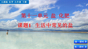 人教版九年級下冊化學課題11.1 生活中常見的鹽 課件.pptx