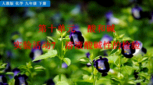 人教版九年級下冊化學實驗活動7溶液酸堿性的檢驗課件.pptx