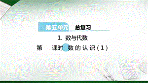 西師大版六年級下冊數學第5單元數與代數 第1課時 數的認識（1） 課件.ppt